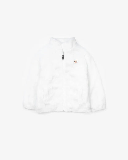 Crafter's Collection