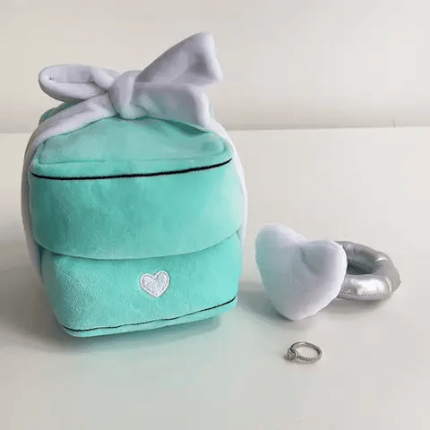 Plush Ring Set (with real ring inside)