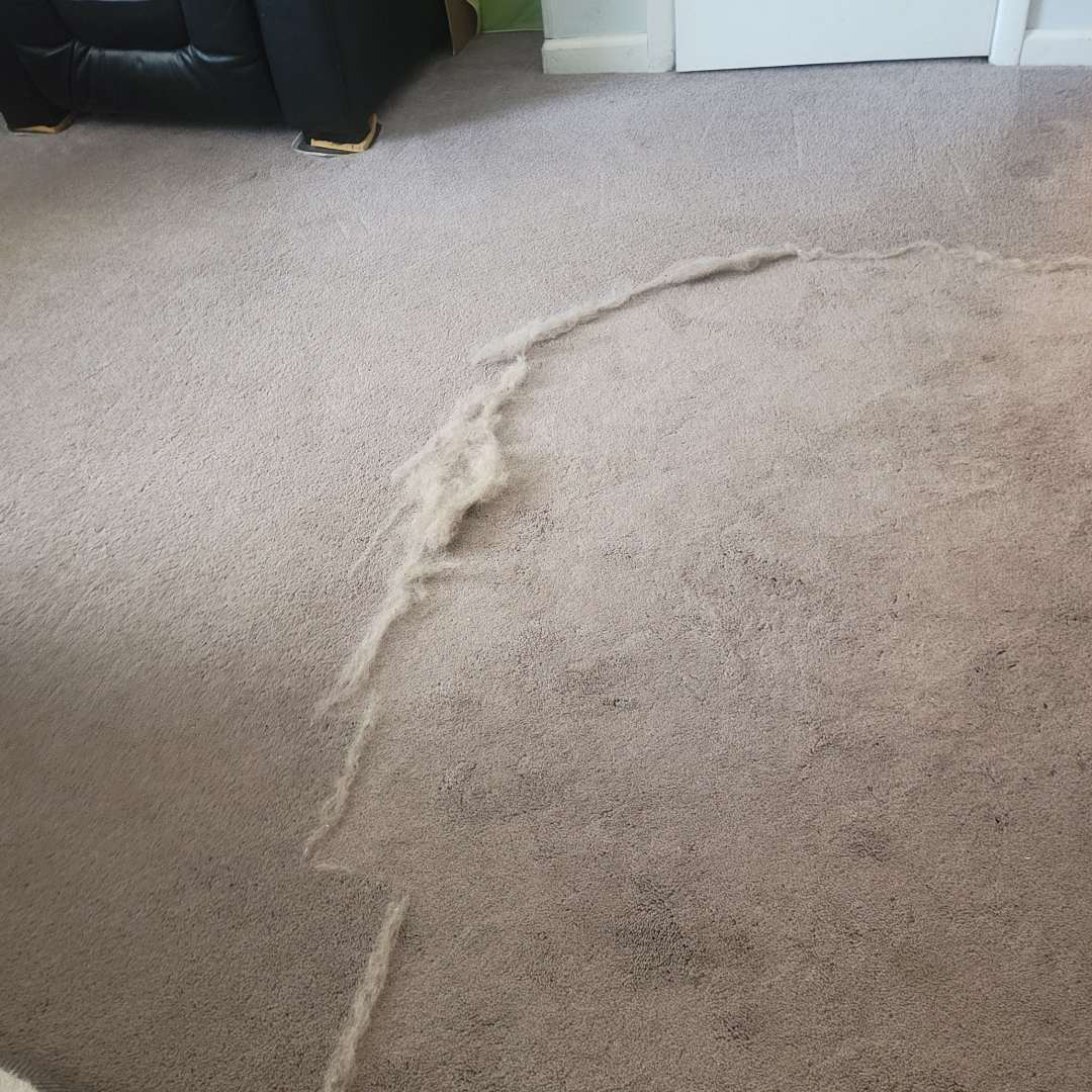 Uproot Pet Hair Remover Pro™